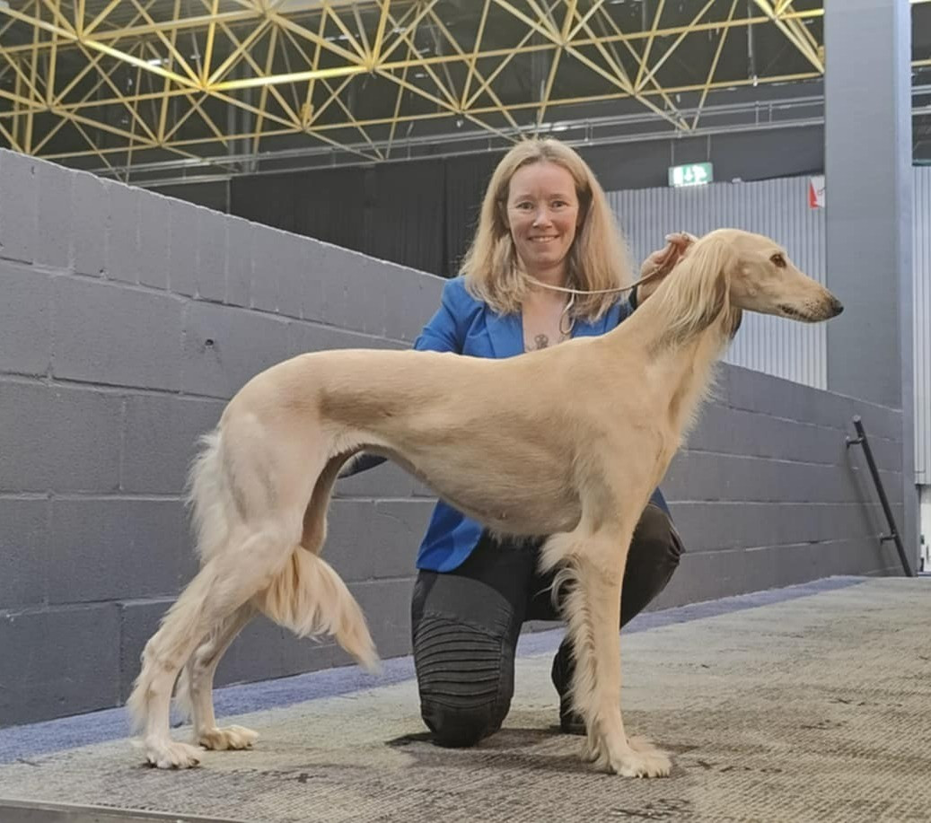 Nouveau titre de Champion International de Beauté