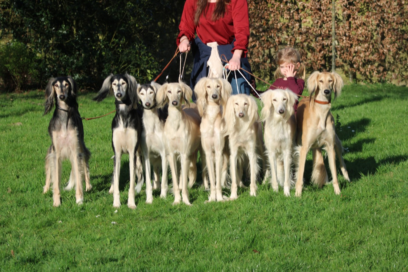 Al Hfifa Saluk - ALOHA a fêté ses 12 ans ce 4 mars 2026
