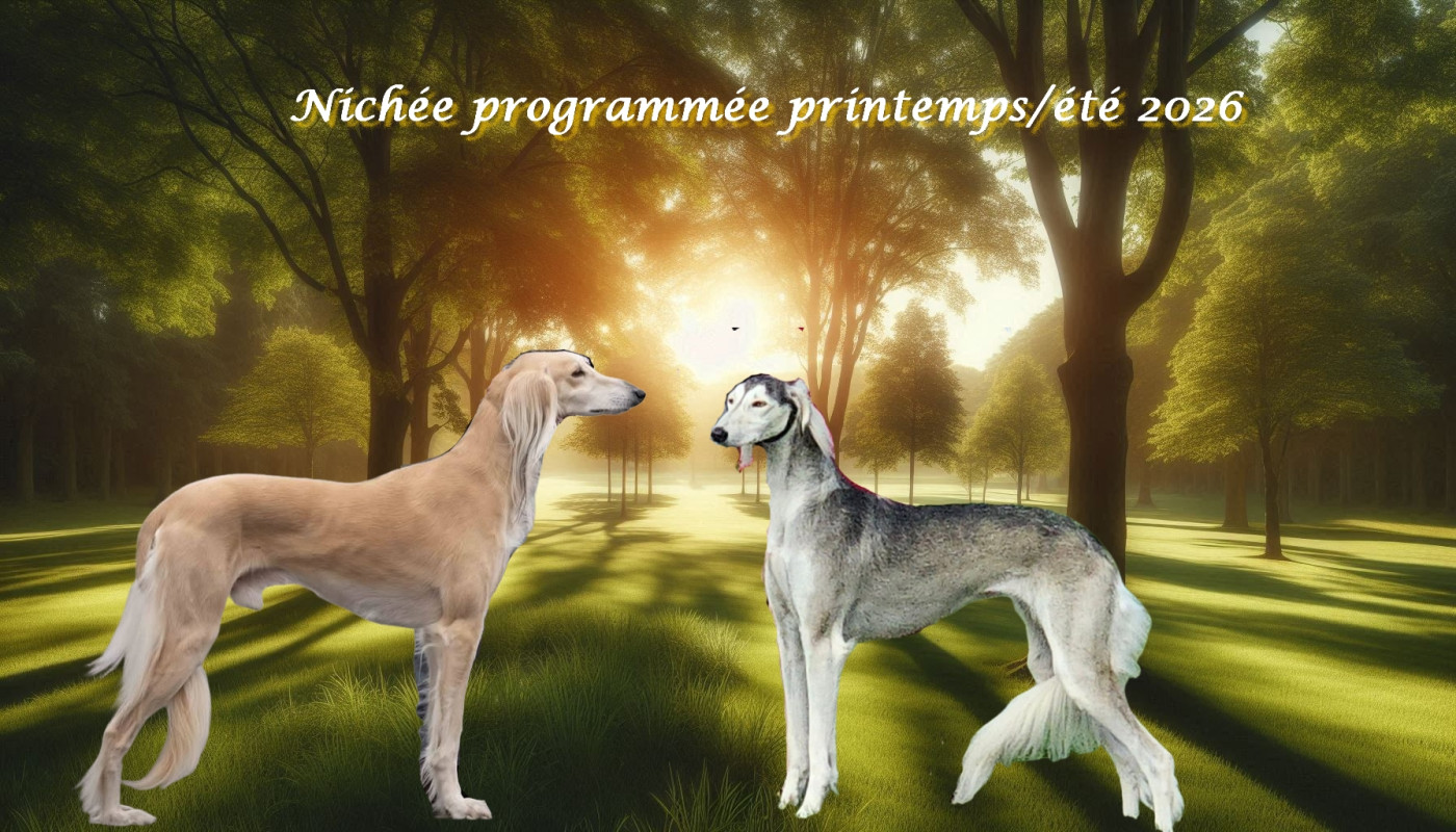 Portée Programmée printemps été 2026